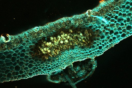 image from Session 1