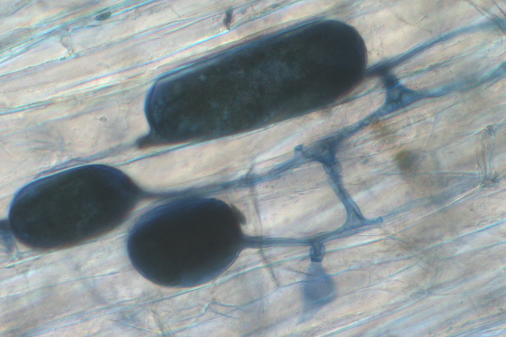 image from Session 2