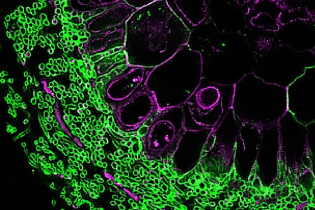 image from Session 3